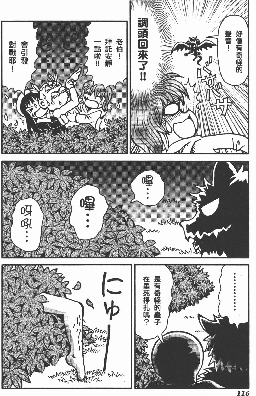 第116页