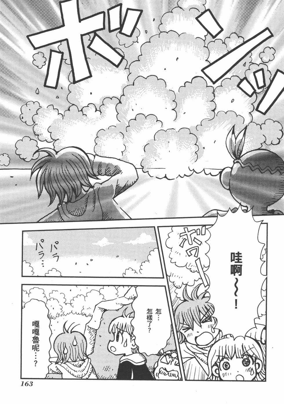 第163页