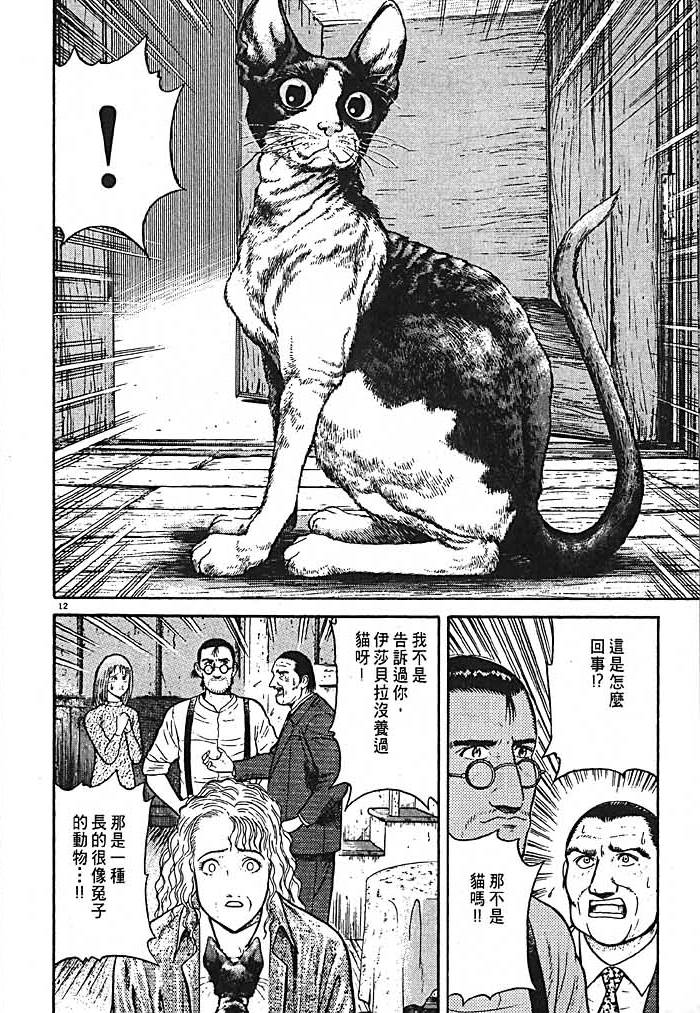 第196页