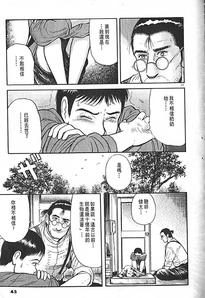 第41页