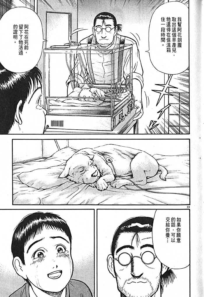 第47页