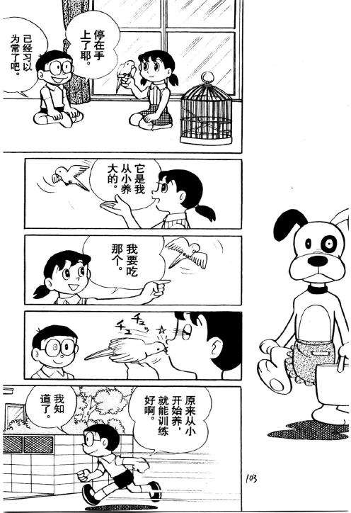第101页