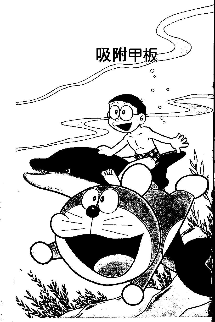 第48页