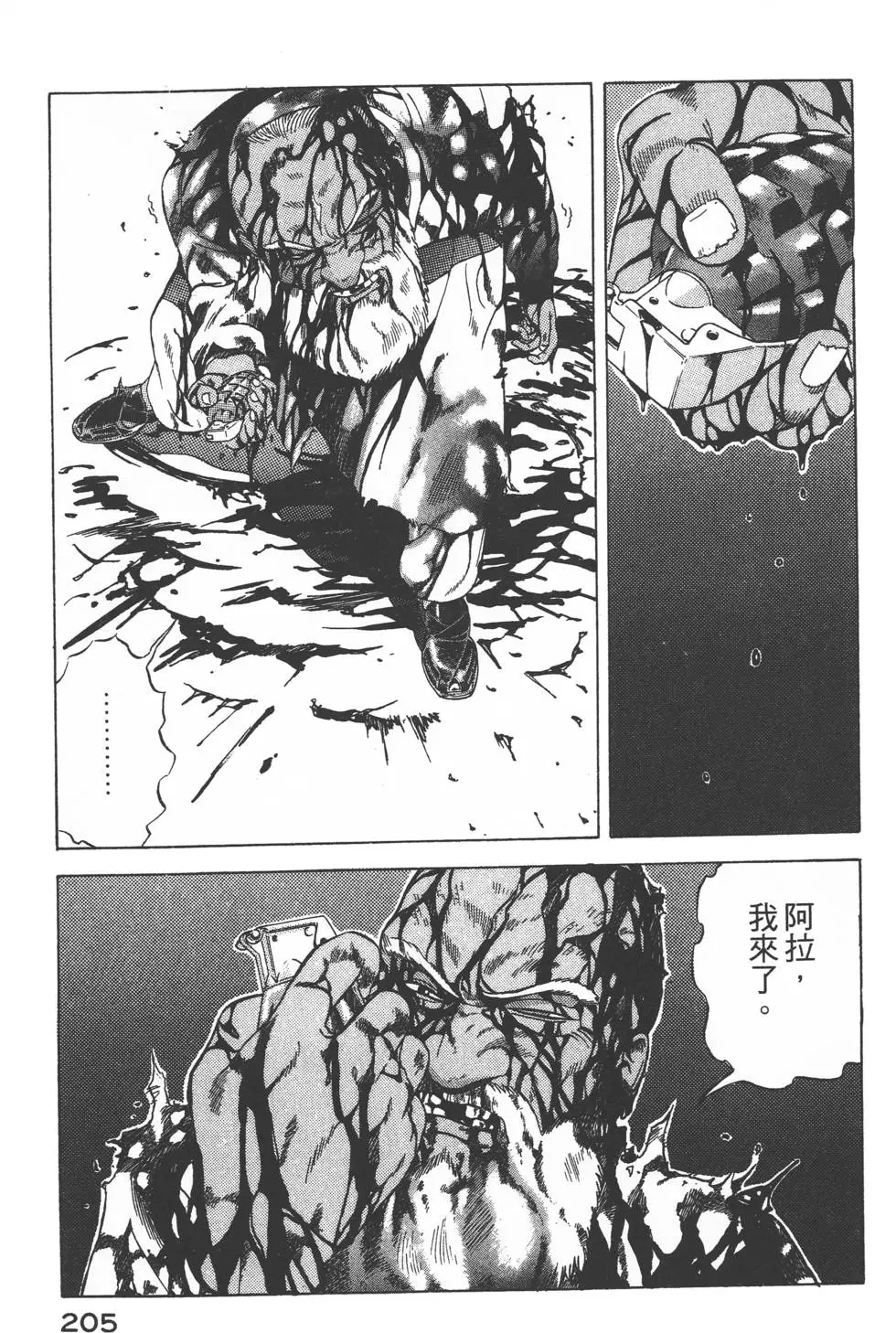 第203页