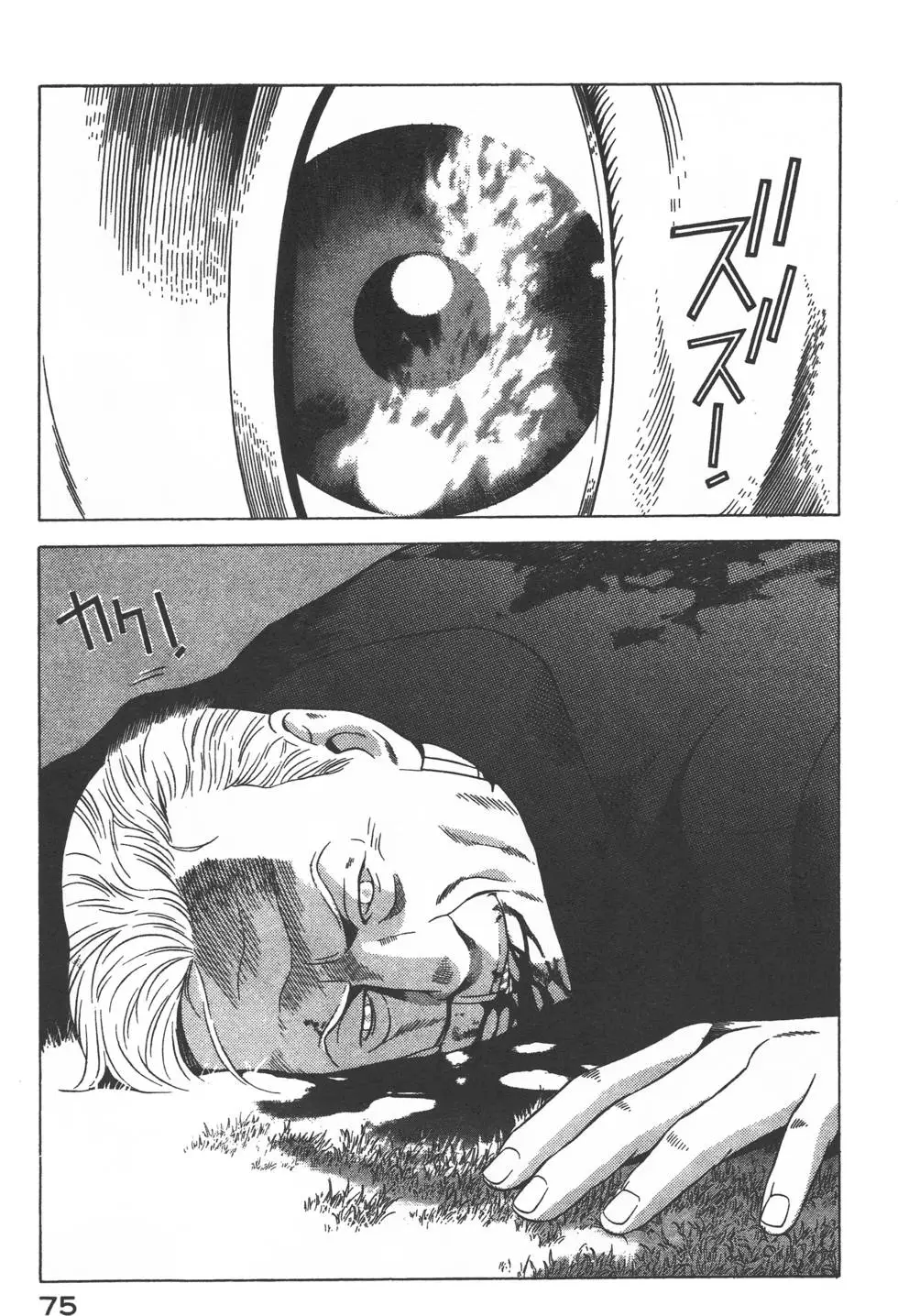第73页