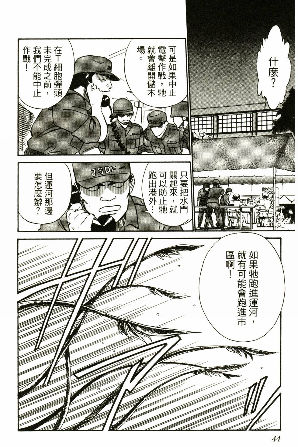 第43页
