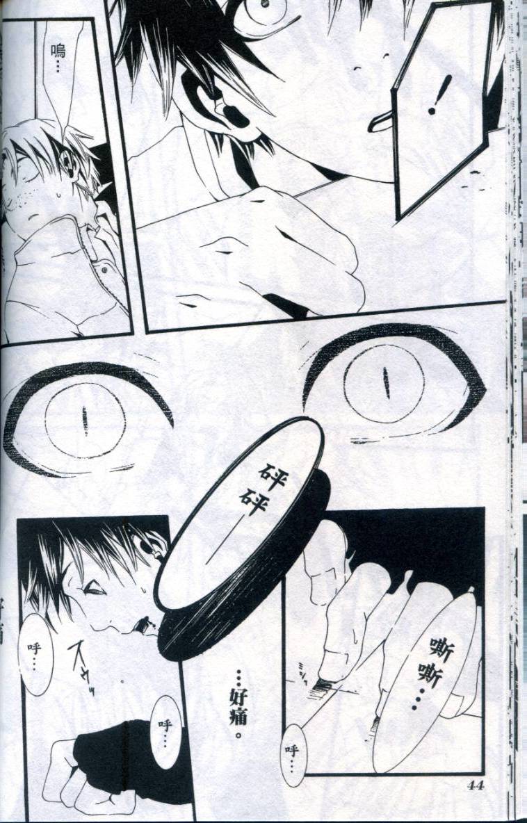 第43页