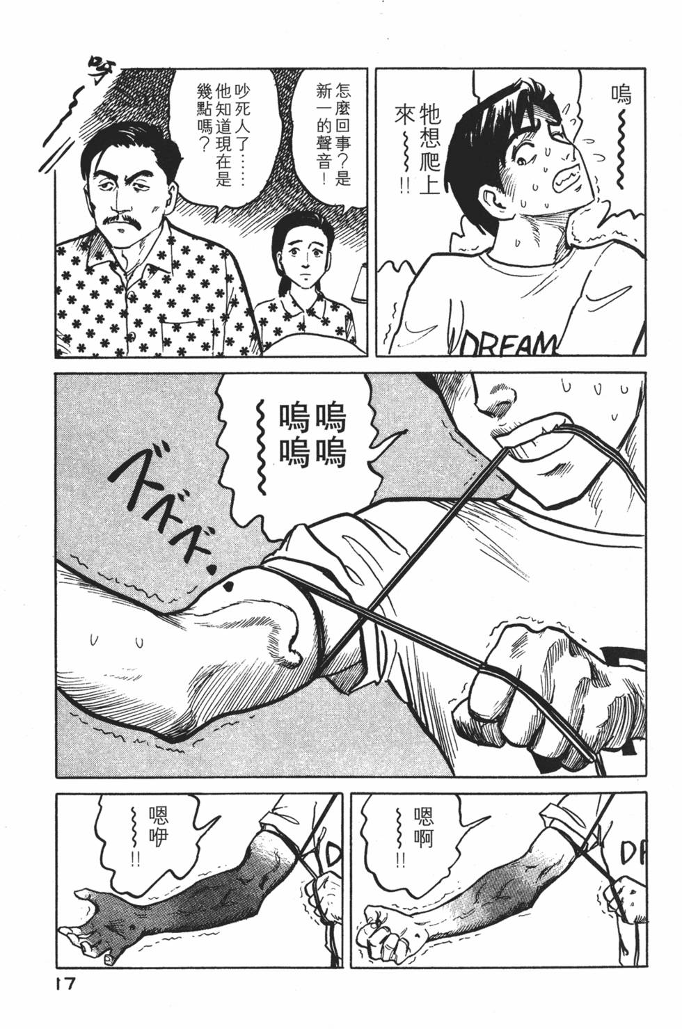 第17页