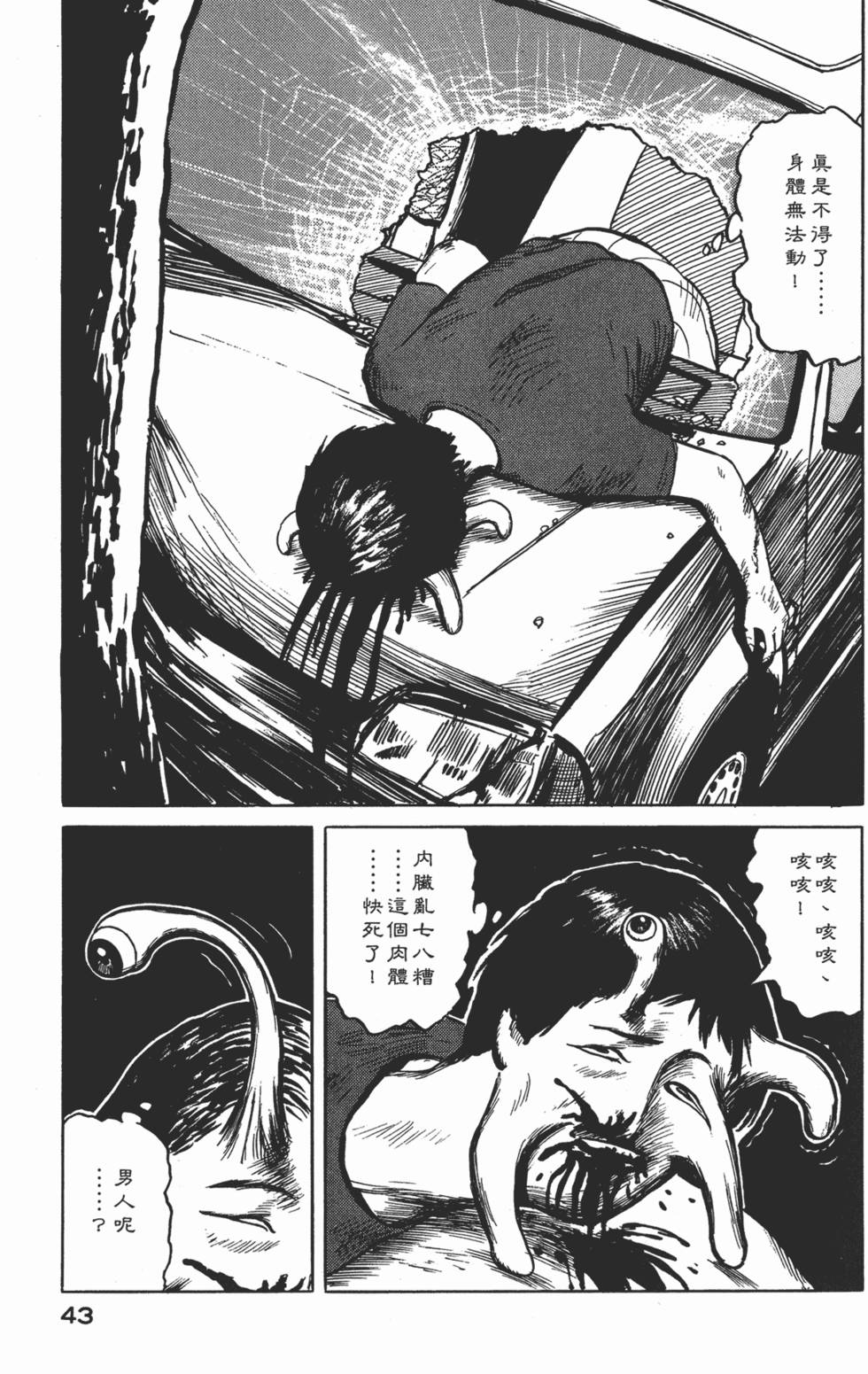 第43页