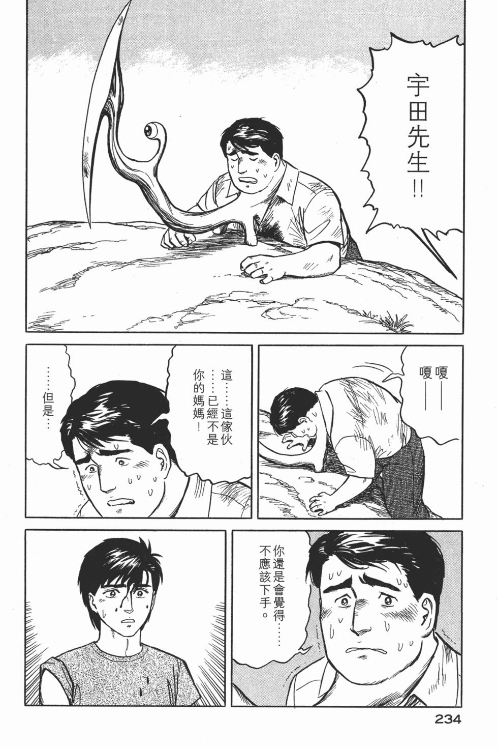 第234页