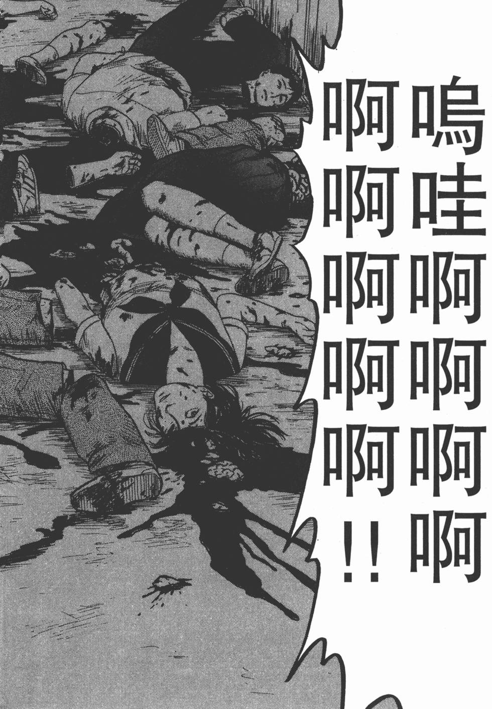 第204页