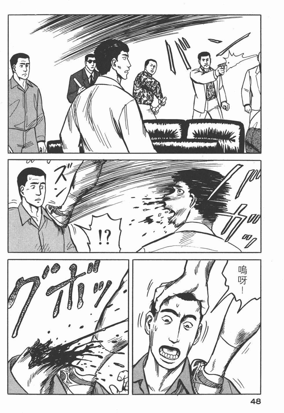 第48页