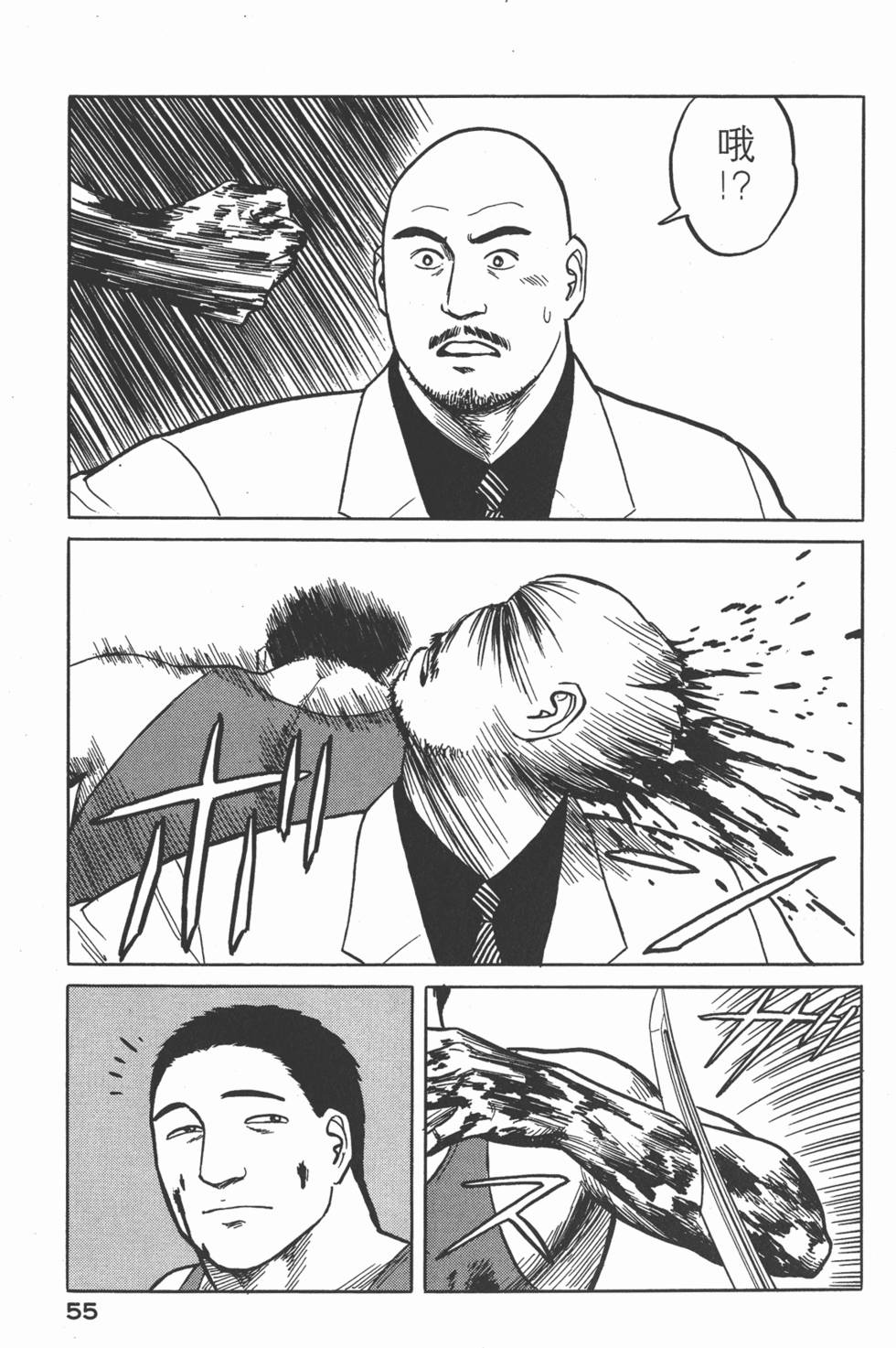 第55页