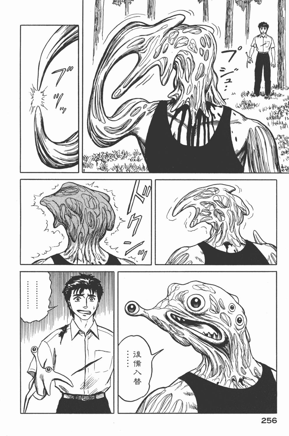 第256页