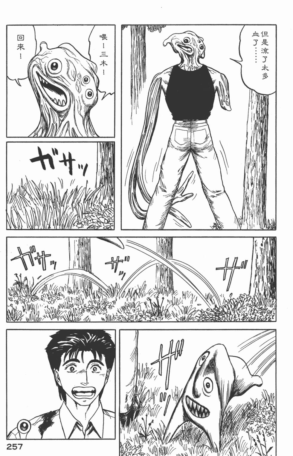 第257页