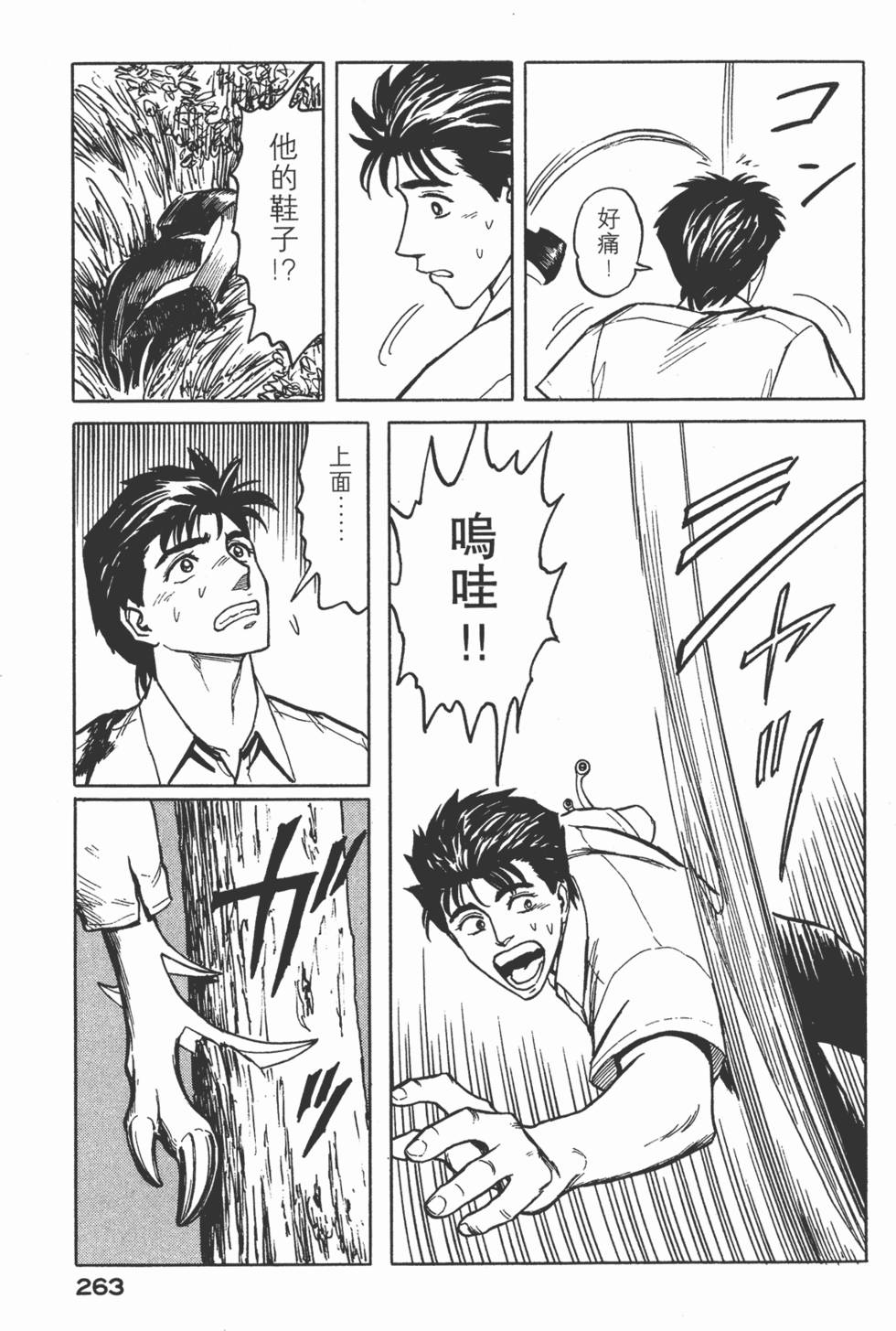 第263页