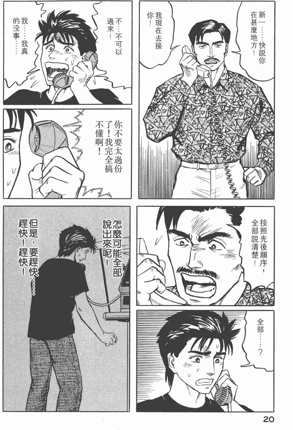 第20页