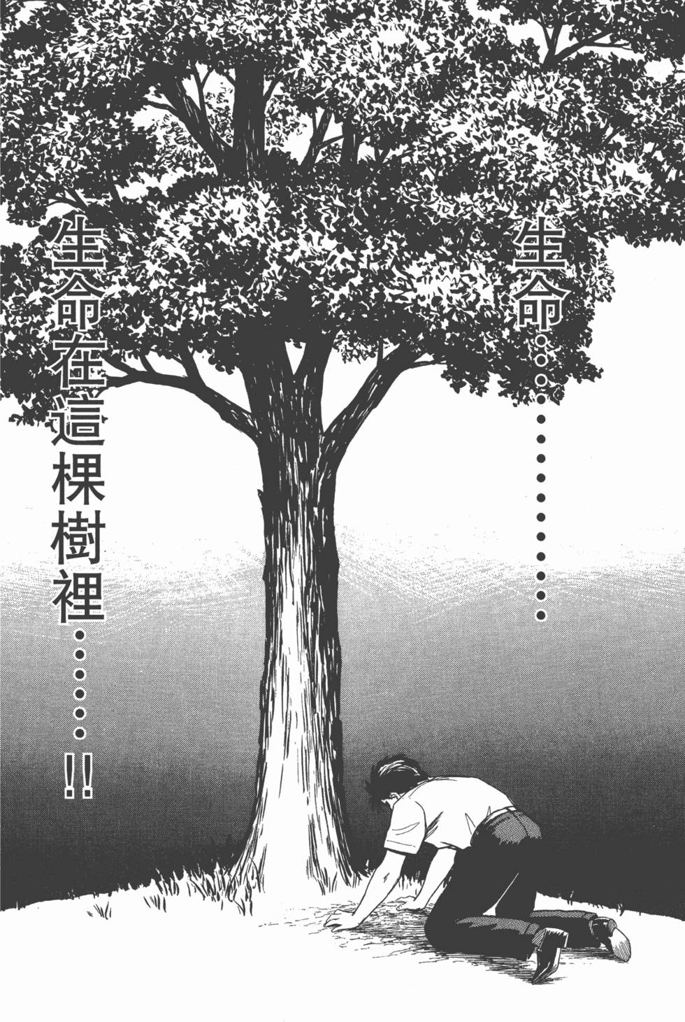 第230页