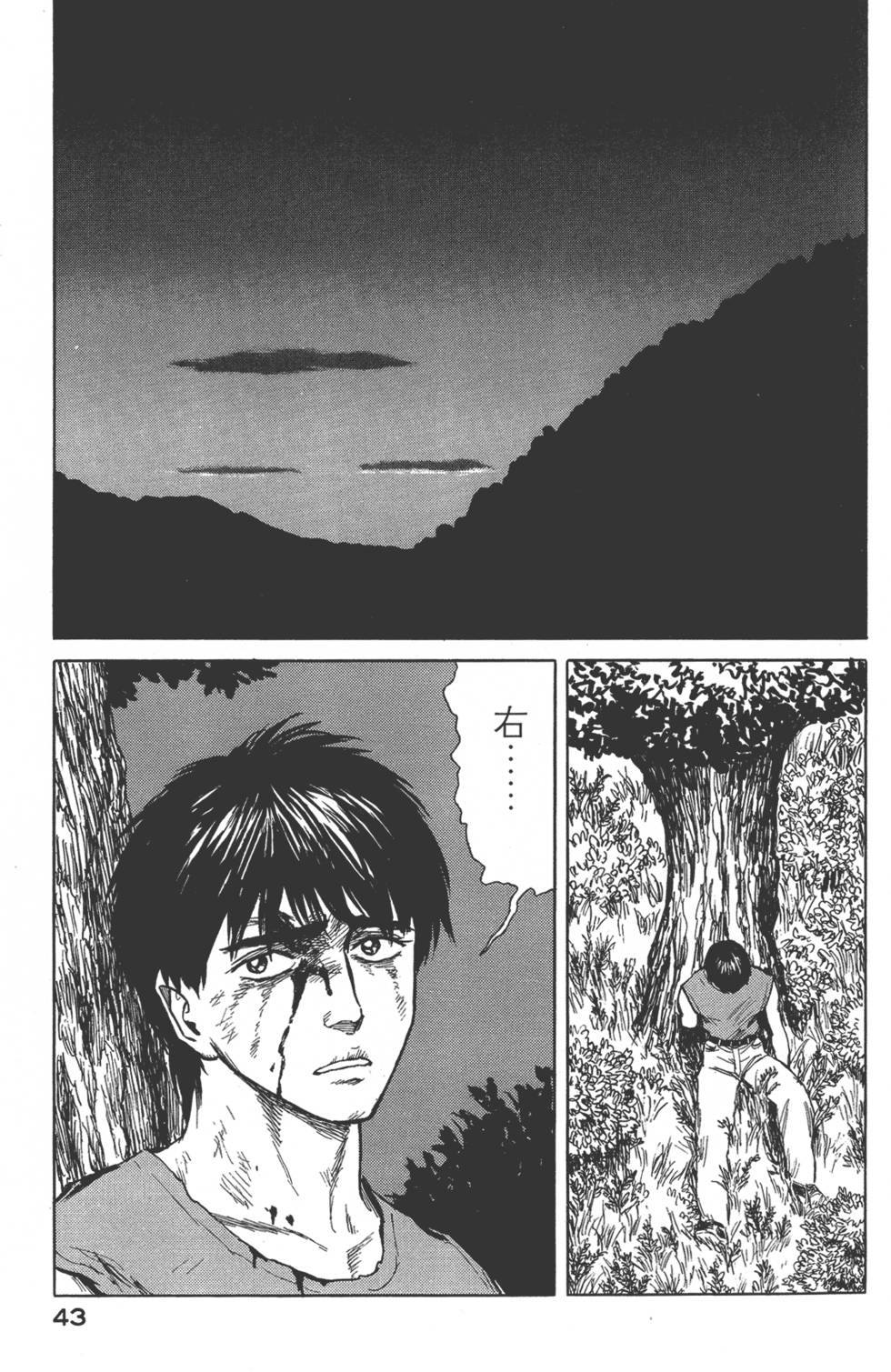 第43页