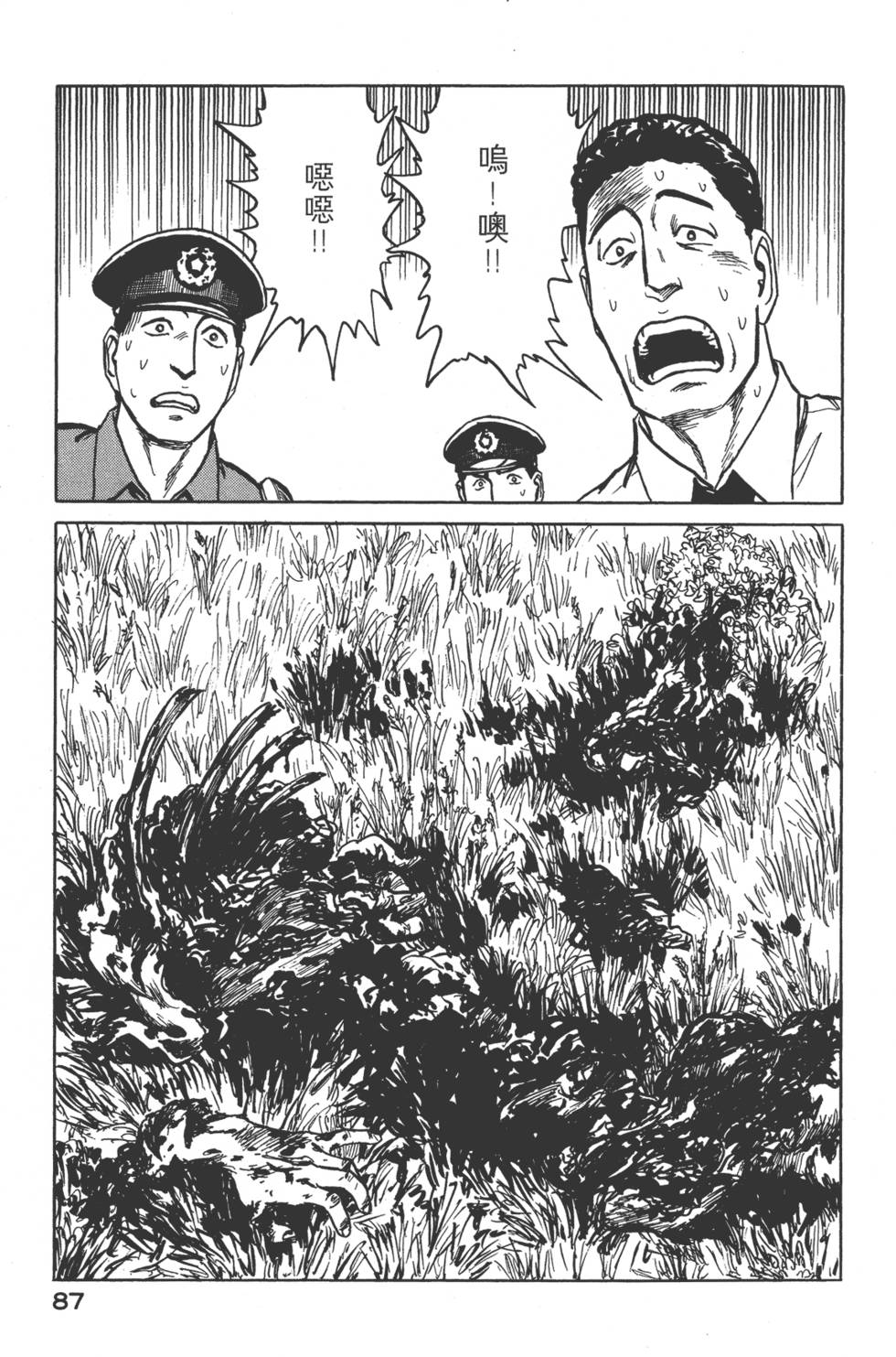 第87页