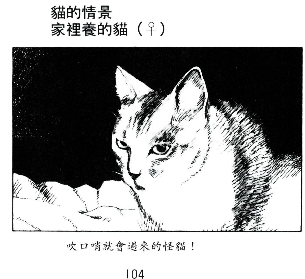 第102页