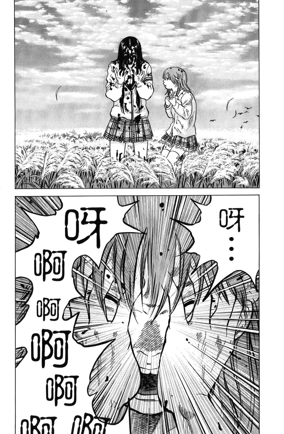 第51页