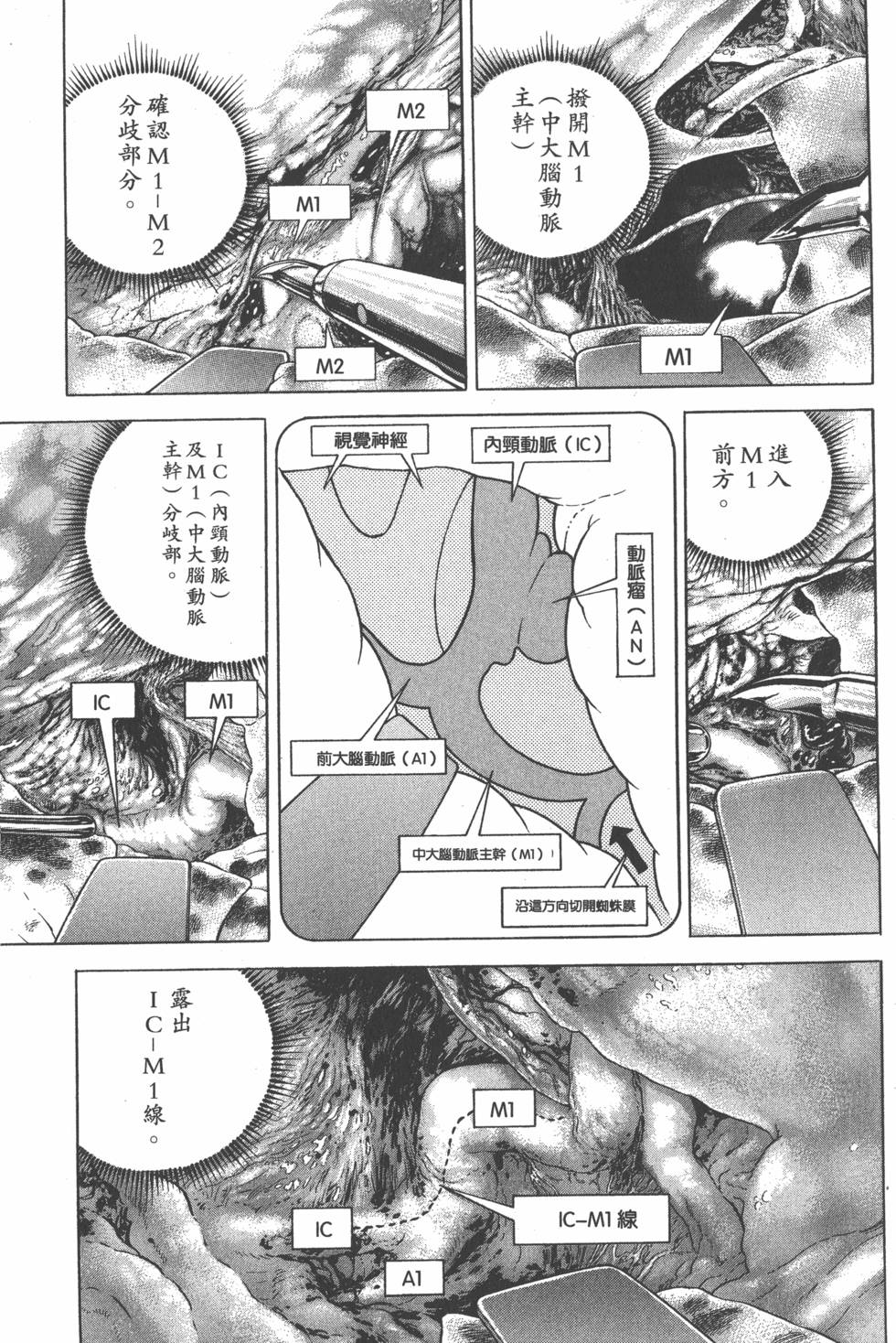第113页