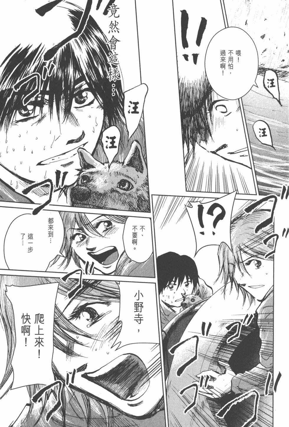 第213页