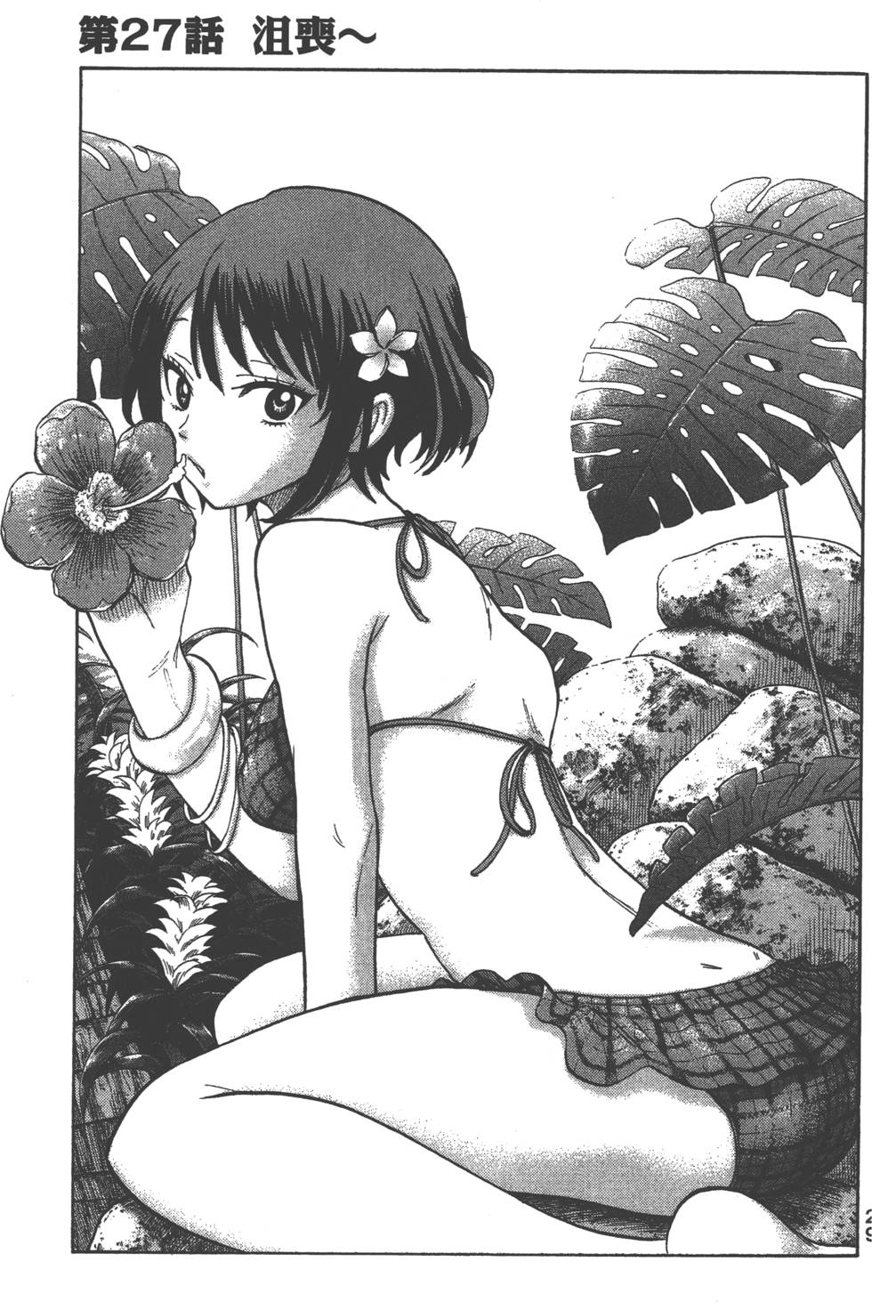 第27页