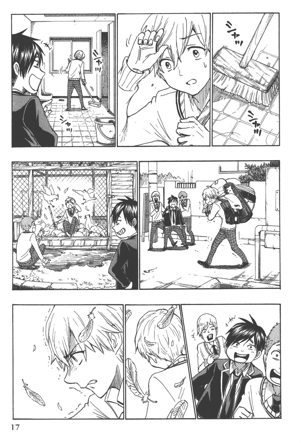 第17页