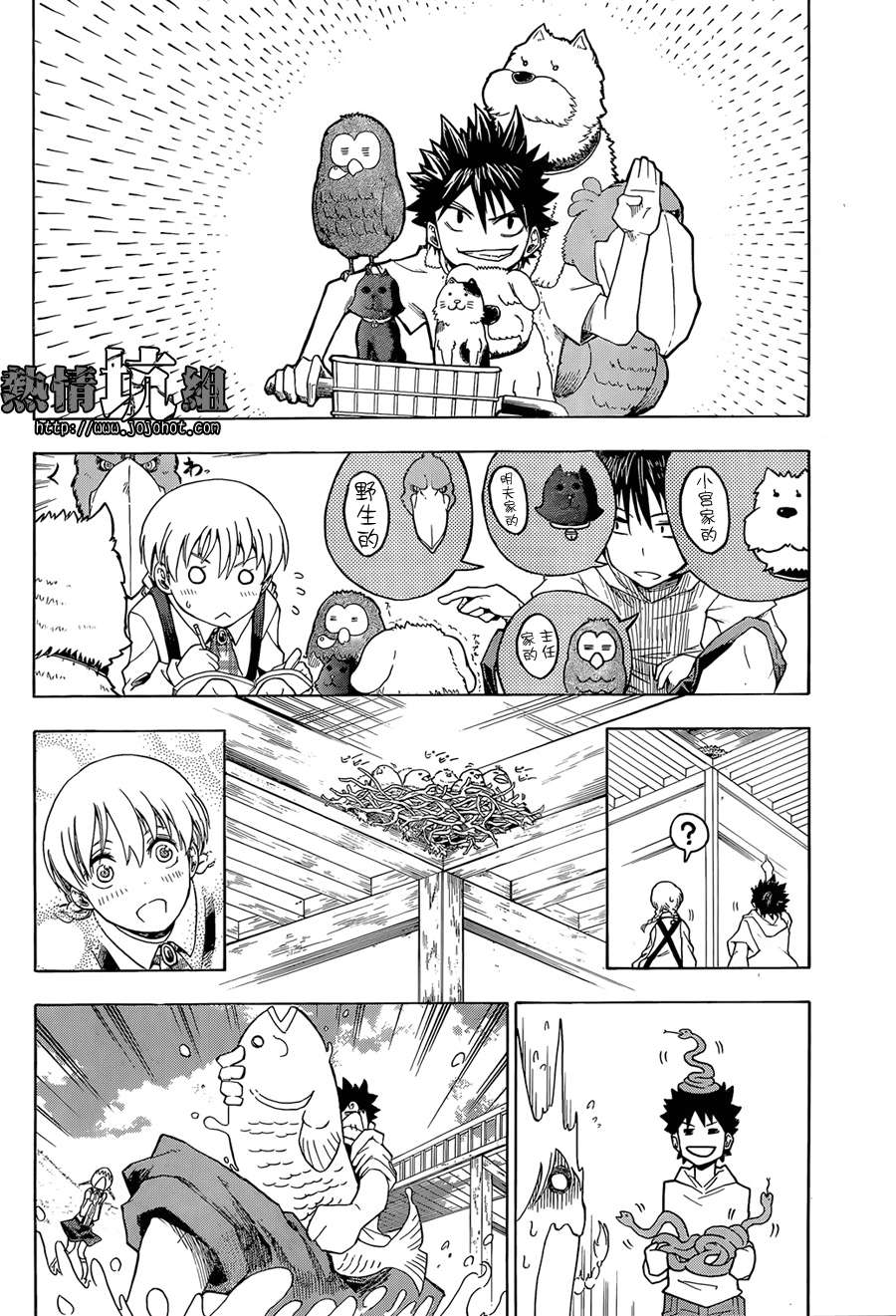 第25页