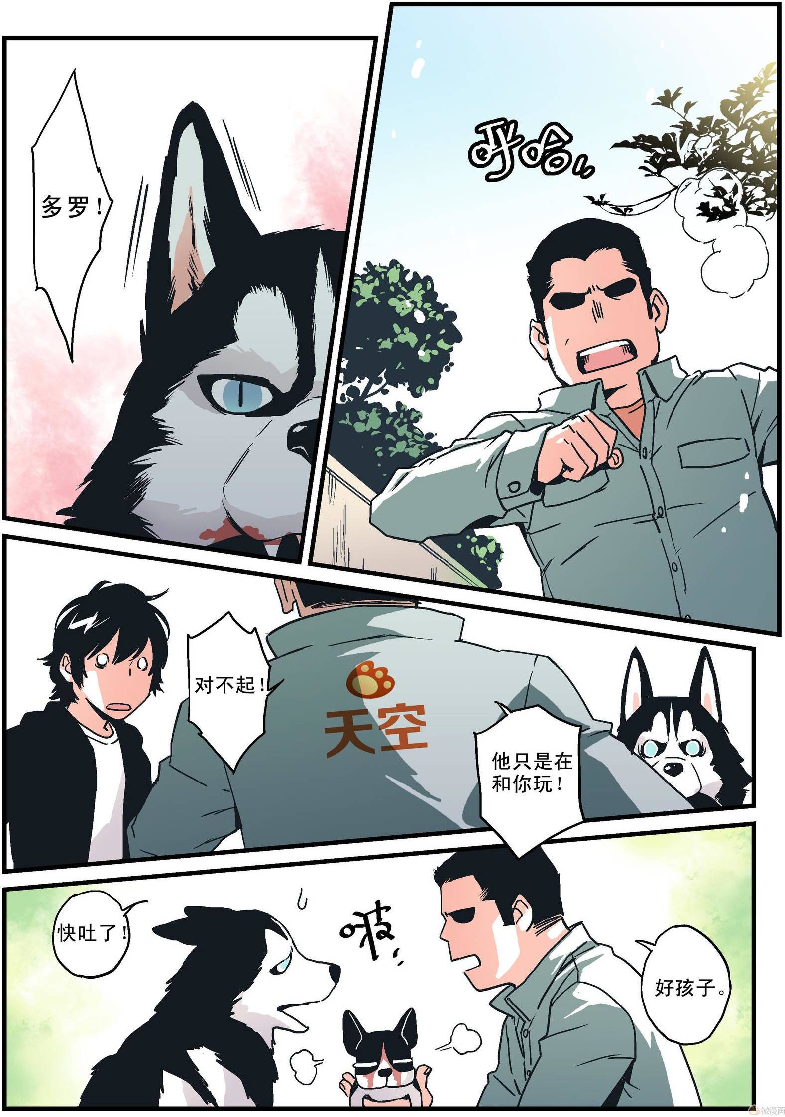 第17页