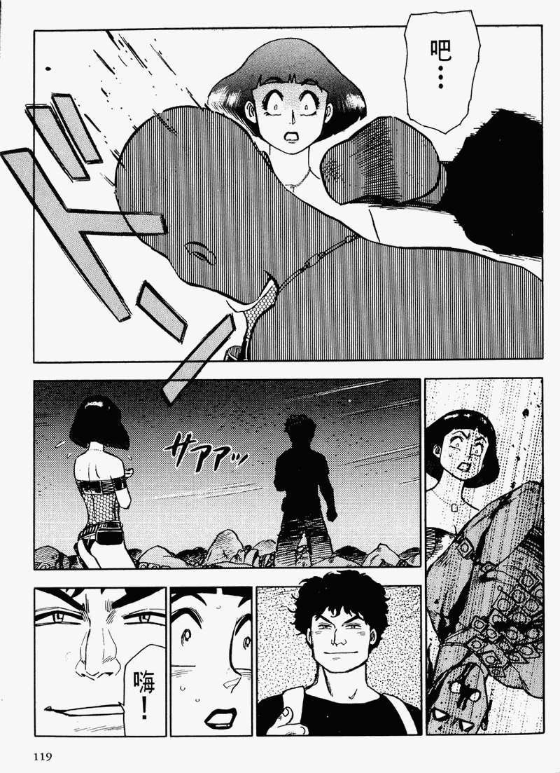 第113页