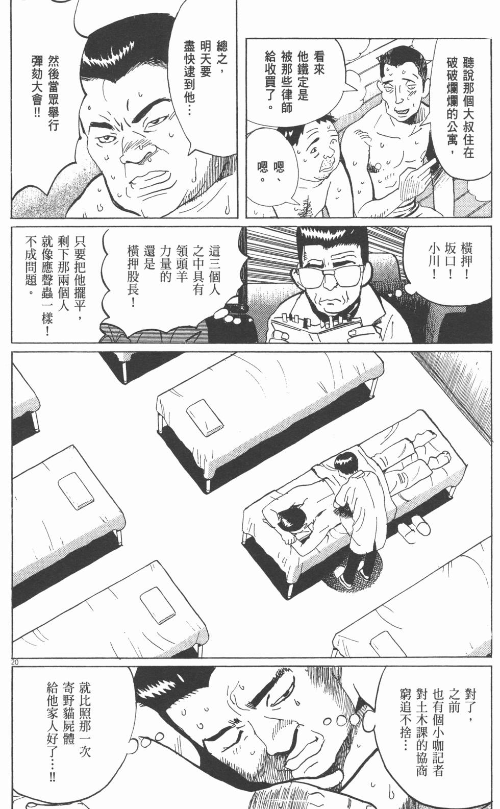 第20页