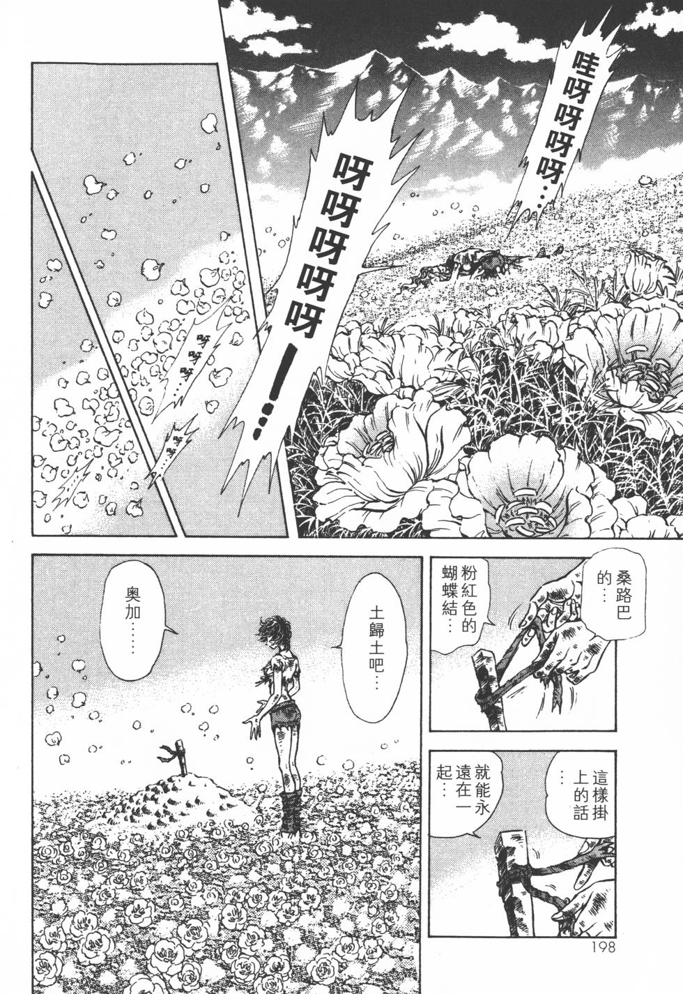 第196页