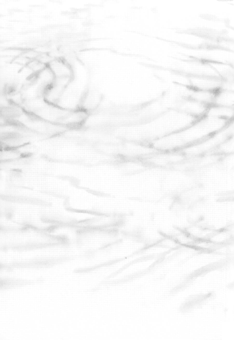 第242页