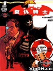 闪点 蝙蝠侠复仇骑士