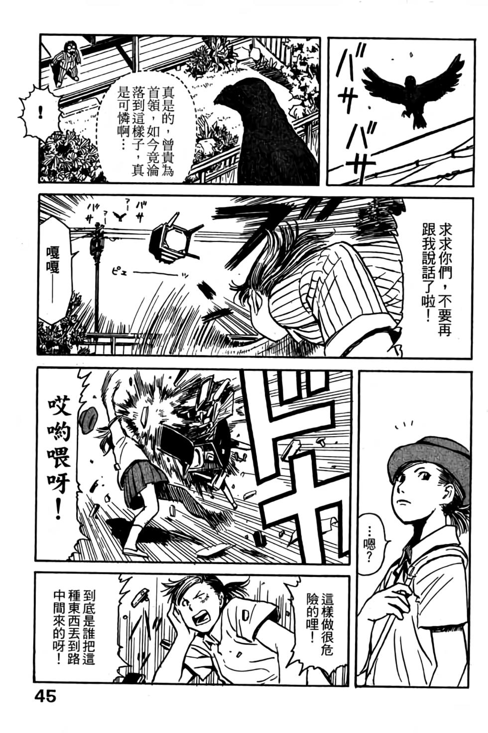 第43页