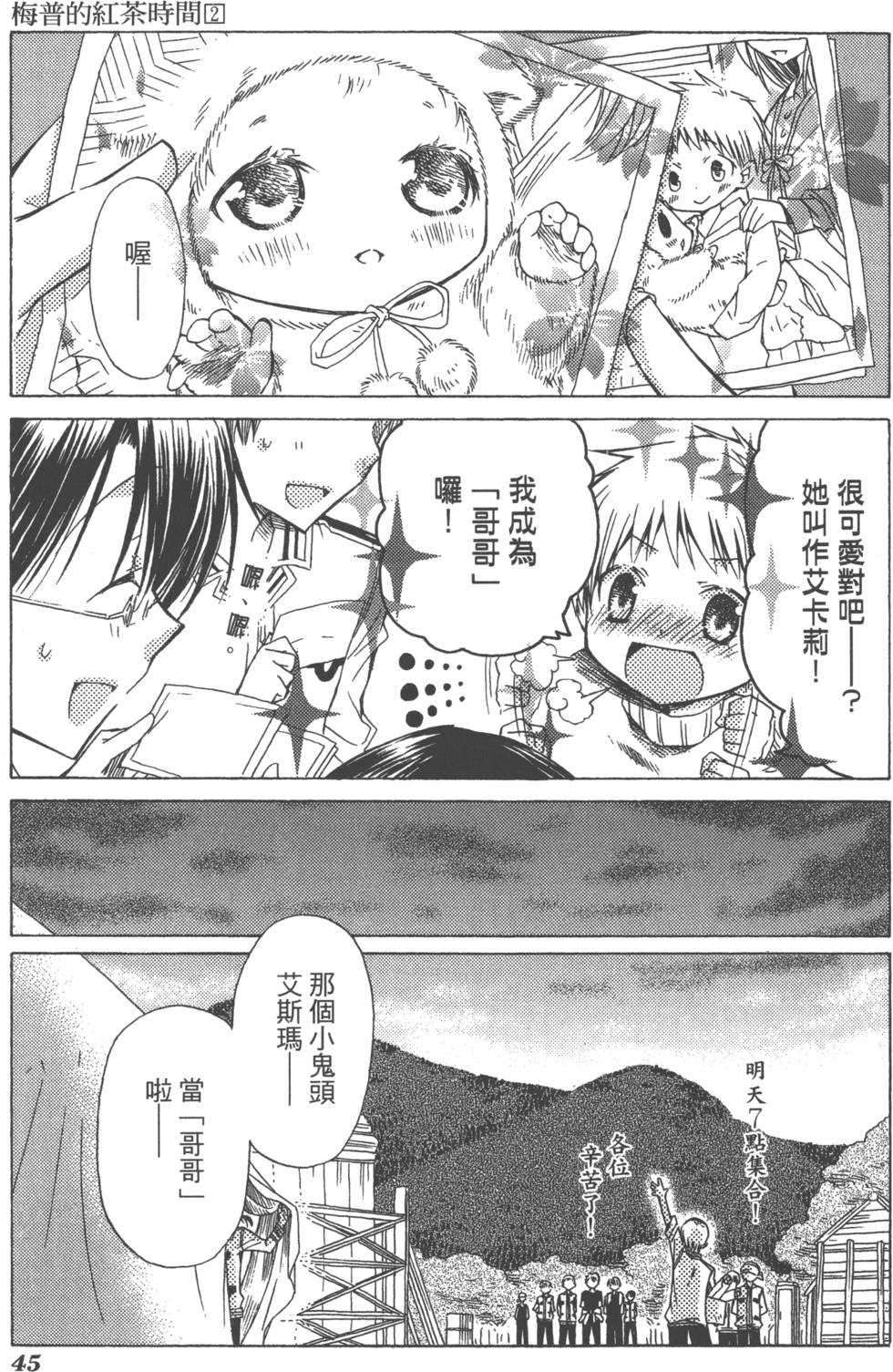 第45页