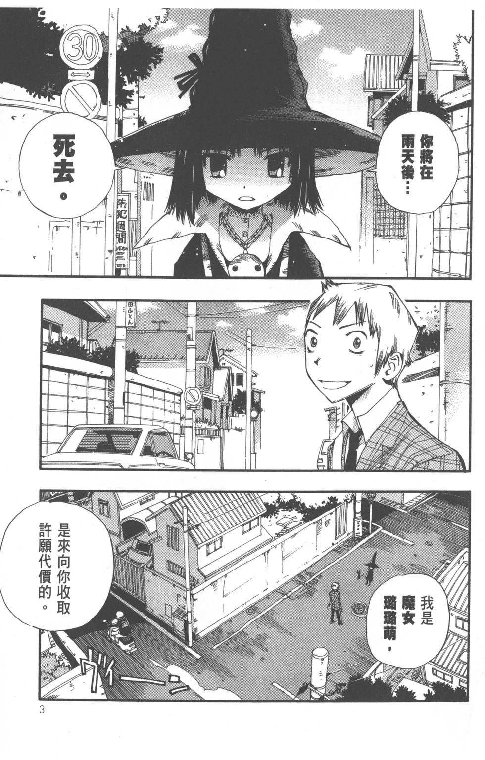 第3页