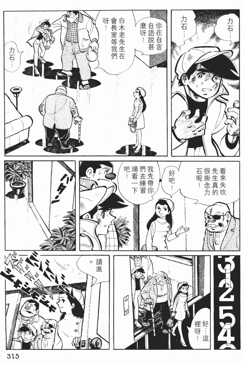 第313页