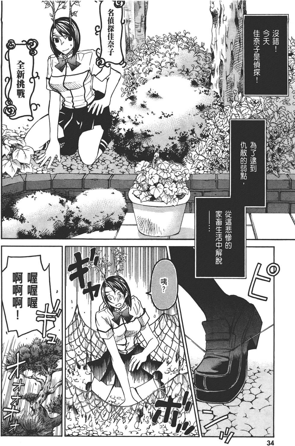 第35页