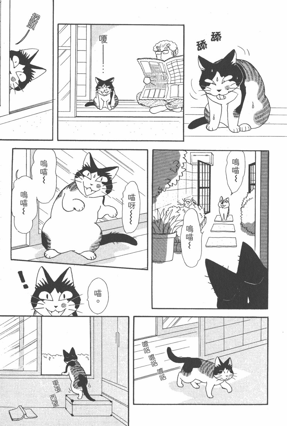 第77页