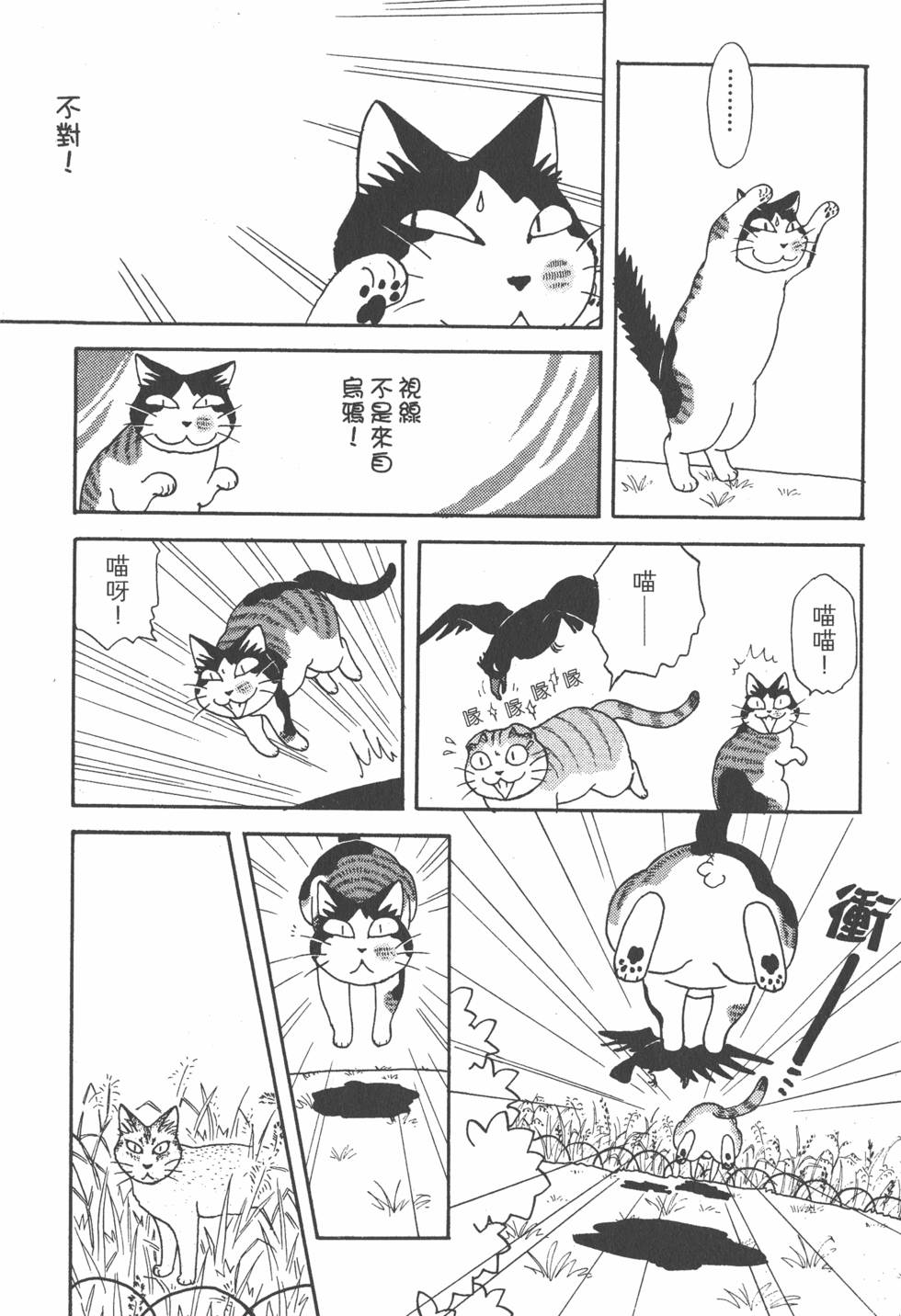 第118页