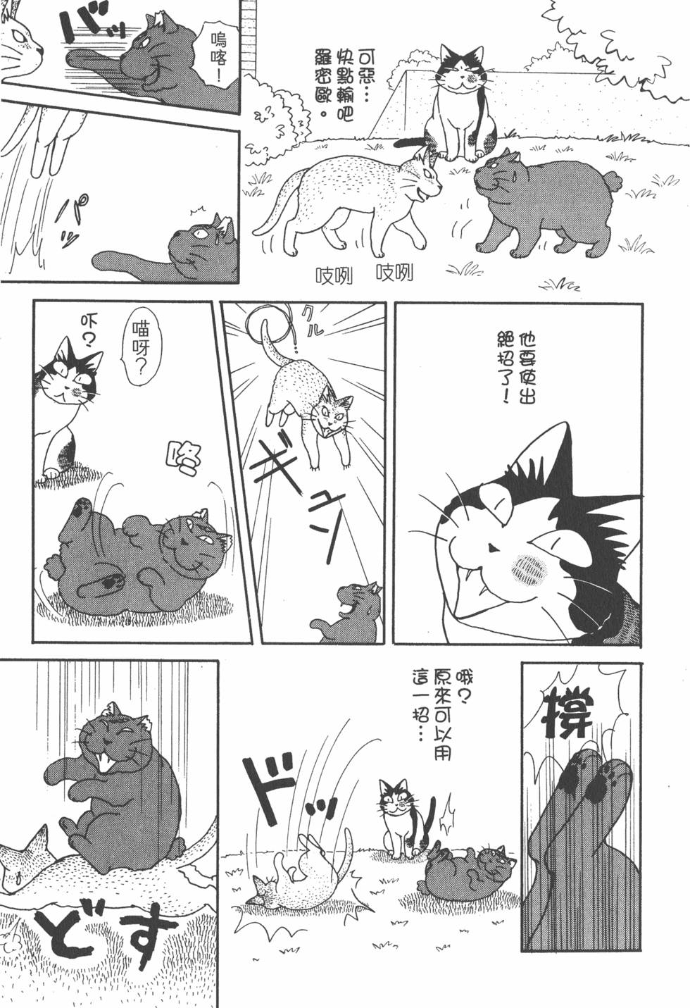 第135页