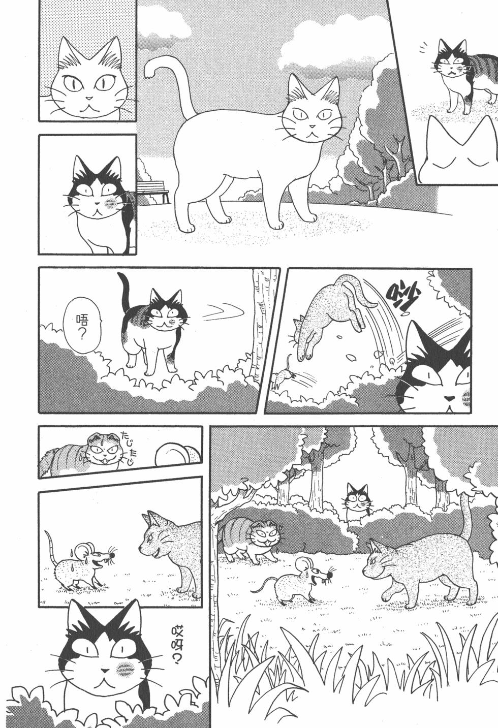 第204页