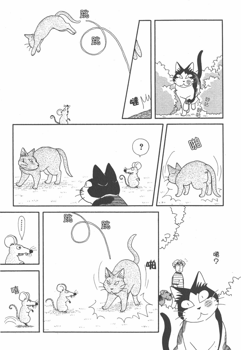 第205页