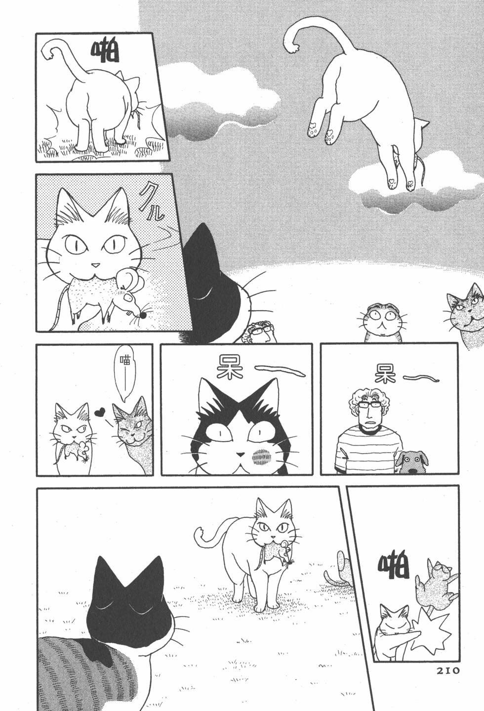 第208页