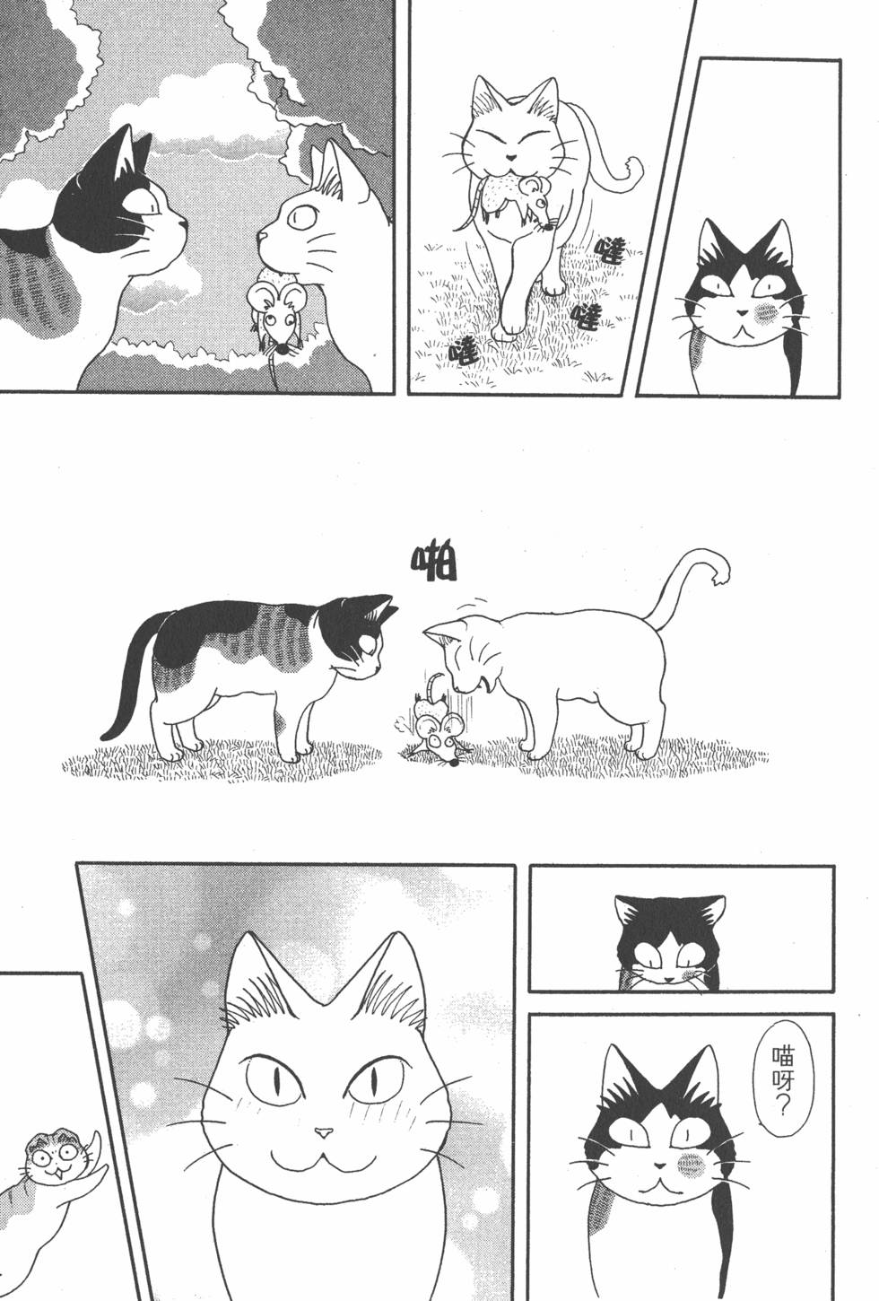 第209页
