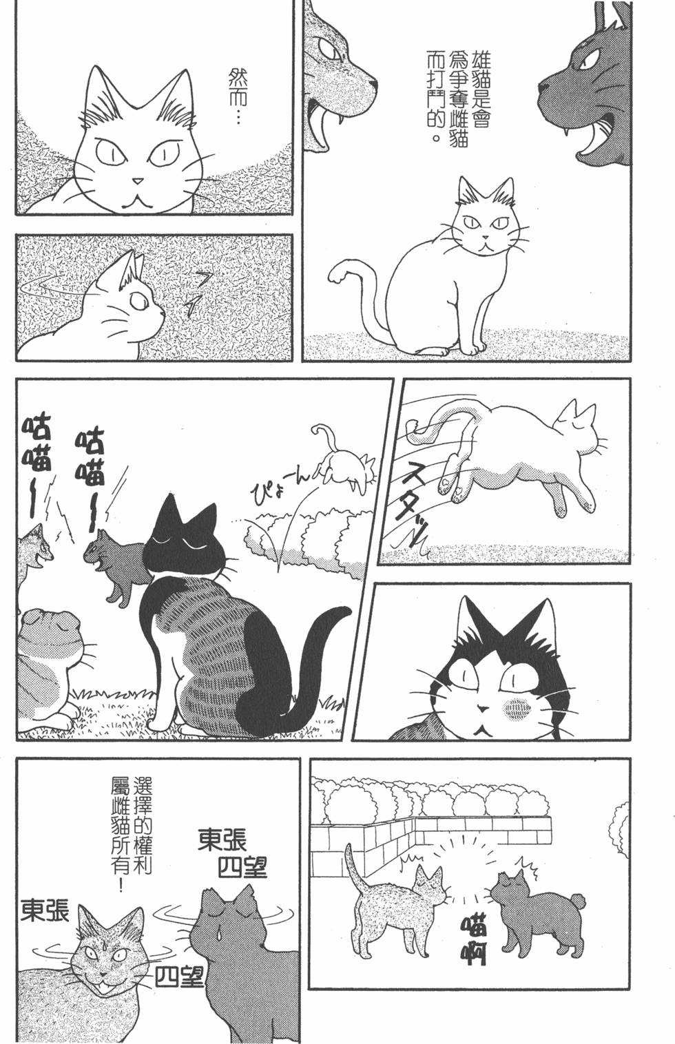 第215页